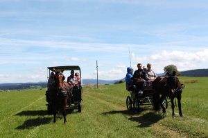 Calèche dans le Jura