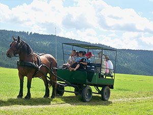 Jura, Mont d'Or, Séjour Sportif